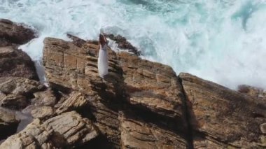 Uçurumun kenarında durup denize bakan beyaz elbiseli güzel bir gelinin hava aracı görüntüsü. Fırtınalı dalgalar ve muhteşem bir kadın modelin olduğu destansı bir sahne. Profesyonel 4k görüntüsü