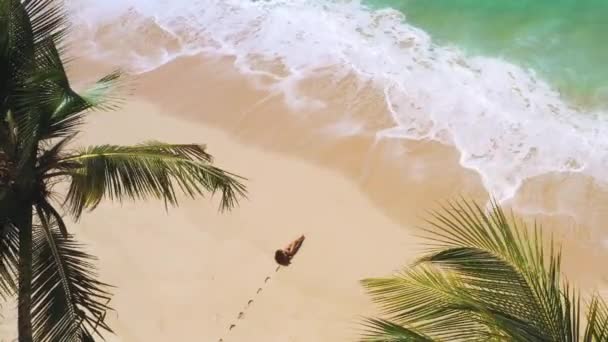 Drone Aéreo Una Hermosa Playa Tropical Con Palmeras Arena Blanca — Vídeo de stock