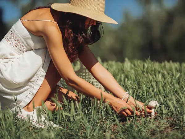 Beyaz yaz elbiseli ve şapkalı bir kadın güneşli bir çayırda yabani mantar arıyor. Doğanın, organik gıdanın ve açık hava aktivitelerinin özünü yakalar. Sağlıklı yiyecek arama temaları için ideal