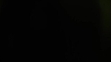 Siyah arka planda güzel soyut mercek parlamaları. Kendi çekimin kadar mükemmel.