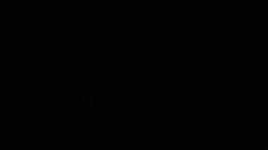 Siyah arka planda güzel soyut mercek parlamaları. Kendi çekimin kadar mükemmel.