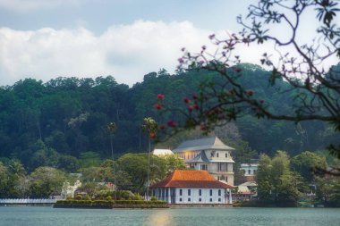 Sri Lanka 'daki Kandy Gölü' ndeki Kutsal Diş Kalıntısı Tapınağı 'nın bereketli yeşilliklerle çevrili huzurlu bir manzarası. Seyahat, kültürel ve dini promosyonlar için mükemmel, sükunet ve güzelliğin göstergesi