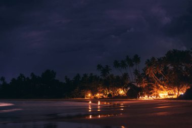 A serene nighttime beach scene featuring illuminated palm trees and their reflections on the water. Ideal for themes of tranquility, travel, and tropical getaways. High-quality image perfect for clipart