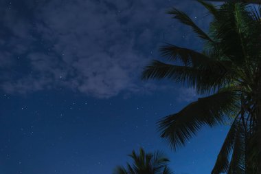 Romantik gece sahnesi güzel, gece gökyüzü olan tropikal bir plaj. Egzotik bir adanın gece gökyüzü Yüksek kaliteli fotoğraf