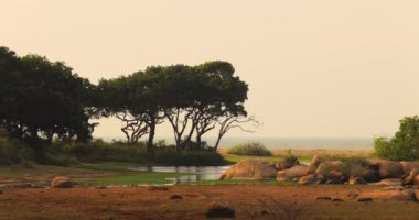 Sri Lanka 'daki Yala Ulusal Parkı' nda ağaçlar, kayalar ve sakin bir su kütlesinin yer aldığı sakin bir manzara. Doğa, seyahat, macera ve vahşi yaşam keşifleri için ideal bir tema.