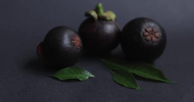 Taze mangosteen meyveleri, beyaz et ve yeşil yapraklı, koyu bir yüzeyde bir el tarafından düzenlenmiş yarı yarıya bir meyve. Tropikal meyve reklamları, sağlıklı beslenme görselleri ve aşçılık için mükemmel.