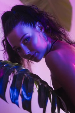 Baştan çıkarıcı bir Asyalı modelin neon ışıklı bir gece kulübü ortamında büyüleyici bir portresi. Yüksek kaliteli görüntü canlı renkler ve şehvetli bir ifade içeriyor. Reklam, moda ve...