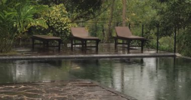 Yeşilliklerle çevrili tropikal bir tatil köyünde yağmurlu bir havuz kenarında boş şezlonglar. Promosyon malzemelerinde sezon dışı seyahat, tropikal hava ve sakin doğa sahneleri için ideal.. 