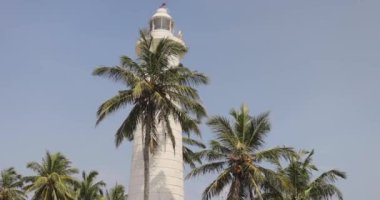 Tarihi Galle Kalesi deniz feneri Sri Lanka 'da berrak mavi bir gökyüzünün altında gür palmiye ağaçları arasında yer alır. Bu ikonik simge seyahat, turizm ve tropikal hedef temaları için mükemmeldir.. 