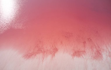 Amazing forms of land surface with water and salt, nature abstract background, aerial view of pink extremely salty Syvash Lake also known as Putrid or Rotten Sea. Landscape of Ukraine, Kherson Region