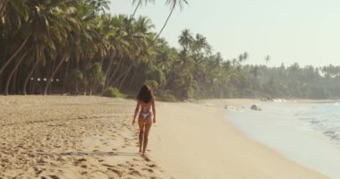Yalnız bir kadın, yemyeşil yemyeşil ve sakin okyanus dalgalarıyla çevrili Sri Lanka kıyı şeridi boyunca huzurlu bir sahilde yürüyor. Seyahat kampanyaları, refah geri çekilmeleri ve tropikal bölgeler için ideal.