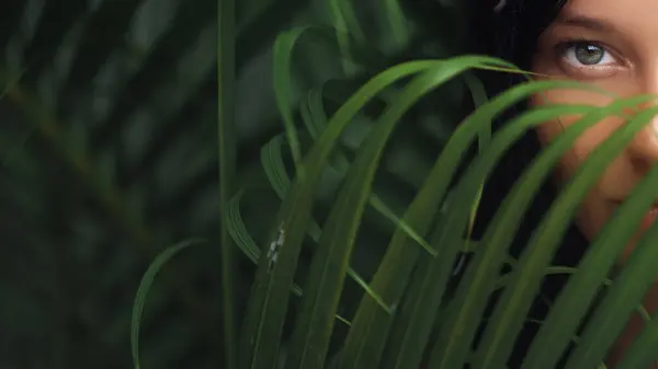 stock image A mysterious close-up shot of a woman eye partially hidden behind lush tropical foliage. The composition creates a captivating blend of intrigue and natural beauty, perfect for artistic, nature