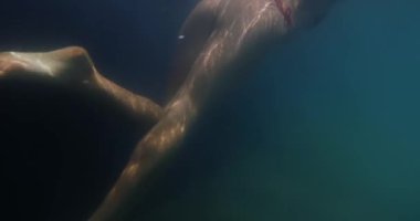 Okyanusun derinliklerinde güneş ışığının parladığı kırmızı bir bikiniyle yüzen bir kadının büyüleyici sualtı sahnesi. Plaj tatili, mayo ve tropikal giysiler için mükemmel.