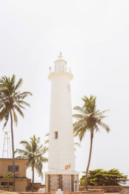 Sri Lanka 'daki Galle Kalesi' nde parlak bir gökyüzüne karşı palmiye ağaçlarıyla çevrili beyaz bir deniz feneri duruyor. Tarihsel dönüm noktası ve tropikal ortam seyahat, tarih ve kıyı güzelliğini çağrıştırıyor.