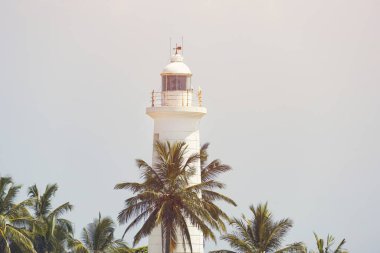 Sri Lanka 'daki Galle Kalesi deniz fenerine yakın plan, parlak bir gökyüzüne karşı gür palmiye ağaçları tarafından çerçevelenmiş. Bu tropikal ve kıyı manzarası seyahat ve turizm görüntüleri için idealdir.