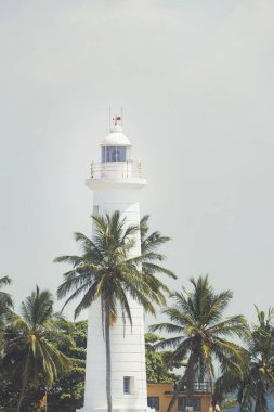 Palmiye ağaçlarıyla çevrili Galle Kalesi deniz fenerinin Sri Lanka 'da açık bir gökyüzüne karşı detaylı bir görüntüsü. Kıyı ve tropikal ortam macera, seyahat ve manzaranın özünü yakalar.