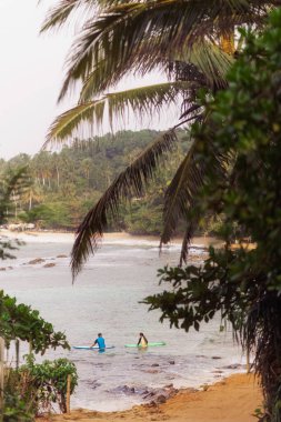 Sri Lanka 'daki Hiriketiya Sahili' nin sakin sularında, bereketli palmiye ağaçları ve tropik yeşillikler tarafından çerçevelenmiş iki raket kayakçısı süzülüyor. Seyahat, tropikal yaşam tarzı ve macera terfileri veya plaj için mükemmel.