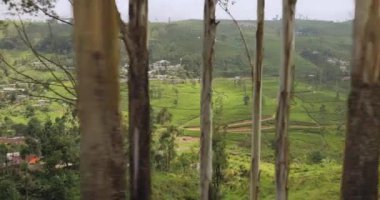 Moving shot of tea plantations taken from a train in Sri Lanka. High quality slow motion 4k footage