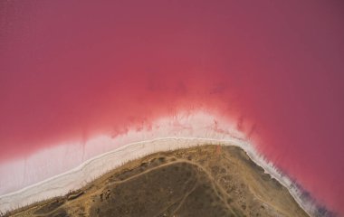 Canlı pembe tuz gölünün ve Ukrayna 'daki Syvash' ın topraksı kıyısının nefes kesici bir görüntüsü. Yüksek kaliteli seyahat reklamları, doğa promosyonları ve doğal güzellikleri gösteren kavramsal tasarımlar için idealdir.