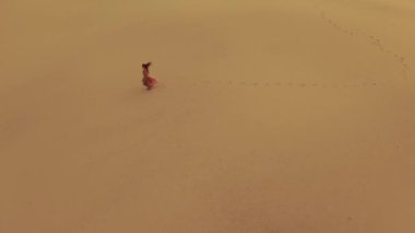 Çöldeki kum tepelerinde koşan pembe elbiseli muhteşem bir kadının yanında uçan bir dronun hava görüntüsü. Gezgin moda kızı sineması görüntüleri. 4K Sahne Doğası