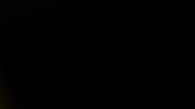 Gerçek mercek parıltısı ince bir ışık ve karanlık bir arkaplanda hafif bir parıltıyla örtüşüyor. Soyut ışık efekti, sinematik ve atmosferik bir dokunuş ekler, video düzenleme, film projeleri ve yaratıcı