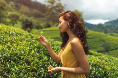 Sarı elbiseli bir kadın, Sri Lanka çay tarlasında dikilirken çay yaprağını yakından inceliyor. Canlı yeşillikler ve yuvarlanan tepelerle çevrili bu sakin görüntü doğayı, seyahati vurguluyor.