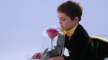 Küçük Prens gibi giyinmiş genç bir çocuk beyaz bir çöl yüzeyinde uzanmış, düşünceli bir şekilde cam bir kubbeye sarılı kırmızı bir gülü seyrediyor. Bu görüntü masumiyet, hayal gücü ve ebedi hikaye anlatımını çağrıştırıyor..