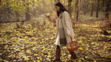 Uzun saçlı genç bir kadın sonbahar ormanında yürüyor, ağır çekimde sepetin içinde mantar topluyor. Kavramsal tanıtımlar, doğa temalı reklamlar ve sakin yaşam tarzı projeleri için mükemmel.