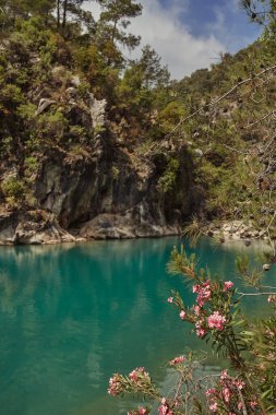 Türkiye 'nin Goynuk Kanyonu' nda kayalık kayalıklarla ve çiçek açan çiçeklerle çevrili turkuaz suların sakin manzarası. Doğa turizmi, açık hava maceraları ve eko-seyahat deneyimleri için idealdir.. 