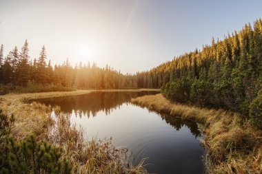 Ukrayna 'nın Karpat Dağları' ndaki sık bir ormanla çevrili Maricheyka Gölü üzerinde çarpıcı bir gündoğumu. Bu yüksek kaliteli görüntü, doğanın dingin güzelliğini yakalar.