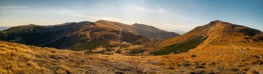 Panoramic view of Mount Hoverla with a golden autumn trekking path, showcasing the scenic beauty of the Carpathian Mountains. Perfect for travel promotions, hiking blogs, and nature enthusiasts. clipart