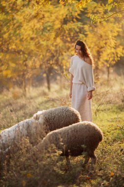 A brunette woman in a cozy off-shoulder sweater stands peacefully watching sheep graze in a sunlit autumn field. Perfect for rural lifestyle, nature, and seasonal promotional content. clipart