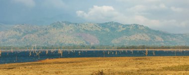 Udawalawe Reservoir manzarası, Sri Lanka 'daki Udawalawe Ulusal Parkı' ndaki uzak dağların arka planına karşı kurulmuştur. Bu sakin manzara parkın doğal güzelliğini vurguluyor.