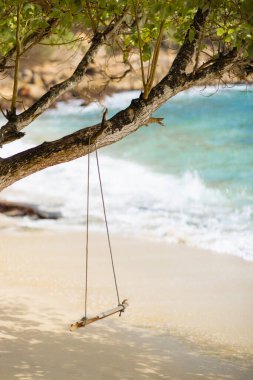 Boş bir ağaç salıncağı el değmemiş bir plajın üzerinde dalgaların yavaşça kıyıya vurduğu. Huzur, yaz ve doğal güzellik temalarını yakalar. Yüksek kaliteli seyahat ve doğa temalı seyahat için ideal.