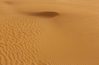 Dalgalı bir çöl kum tepeciği kurak ortamın güzelliğini gösteren doğal bir soyut manzara oluşturur. Doğa, sükunet ve minimalizm konuları için mükemmel. Promosyon için ideal.