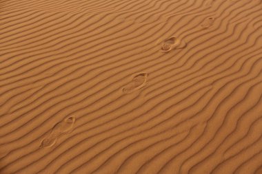 Footprints trail across rippled desert sand dunes, evoking a sense of journey and solitude. Perfect for concepts of adventure, exploration, and natures beauty. Ideal for promotional and advertising clipart