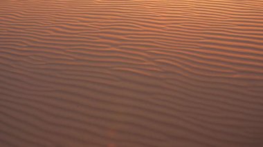 Altın kum tepelerindeki dalgalı desenler gün batımının sıcak ışıklarıyla aydınlanıyor. Çöl manzaraları, doğa dokuları ve sakin ortamlar için idealdir.. 