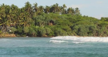 Sri Lanka 'daki Hiriketiya Sahili manzarası, bereketli palmiye ağaçları, yumuşak okyanus dalgaları ve tropikal bir kıyı şeridi. Seyahat, turizm ve egzotik plaj yerleri için mükemmel.. 