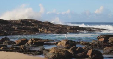Güçlü okyanus dalgalarının yavaş çekimde kayalara çarpmasıyla Sri Lanka 'daki kayalık kıyı şeridinin çarpıcı görüntüsü. Seyahat, doğa ve kıyı manzarası kavramları için ideal.. 