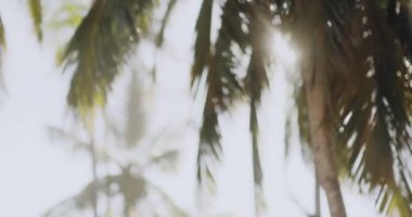 Kırmızı bikinili ve güneş şapkalı neşeli bir kadın, palmiye yapraklarının arasından süzülen güneş ışığıyla yemyeşil bir tropik ortamda, eğilmiş bir palmiye ağacına oturmuş. Yaz, seyahat ve yaşam tarzı temaları için ideal. 