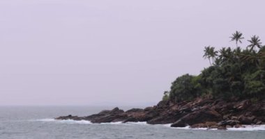 Sri Lanka 'da bereketli palmiye ağaçları ve turkuaz okyanus dalgalarıyla çevrili kayalık bir sahil manzarası. Sakin tropikal ortam, deniz kenarının engebeli güzelliğini vurguluyor.. 