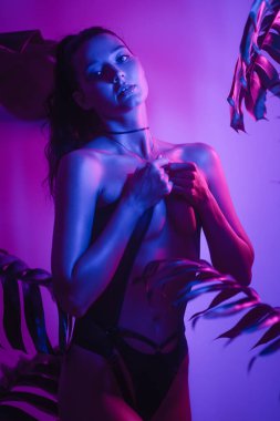 Canlı neon ışıklarının altında tropikal bitkilerle iç çamaşırlarıyla poz veren seksi genç kadın. Reklam, moda, güzellik veya gece hayatı temaları için mükemmel kaliteli kavramsal fotoğraf.