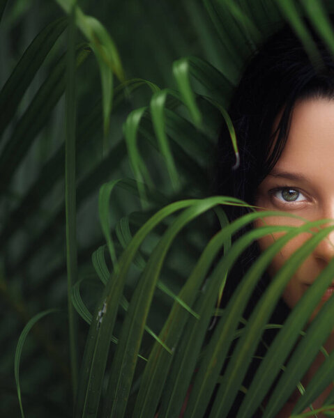 A captivating close-up image featuring a woman eye, partially concealed by tropical leaves. The shot exudes mystery and natural allure, making it ideal for use in beauty, nature, and artistic