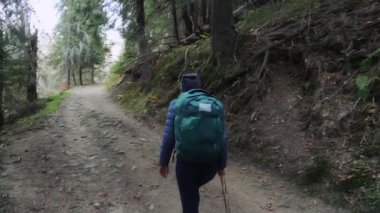 Kabarık ceketli ve bereli yalnız bir yürüyüşçü dağınık, bulutlu ışık altında bir orman yolunda yavaşça ilerler. Yalnızlık, keşif ve karamsar doğa seyahati kavramları için idealdir..