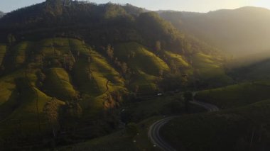 Nuwara Eliya, Sri Lanka 'daki yuvarlanan çay tarlalarının nefes kesen manzarası, altın sabah ışığında yıkandı. Bu dolambaçlı yol macera hissi katıyor ve bu manzarada seyahat ediyor.. 