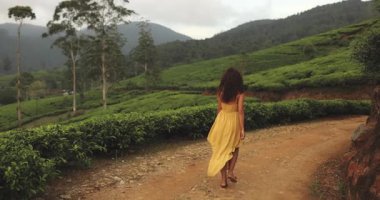 Sarı elbiseli bir kadın yemyeşil ve teraslı tepelerle çevrili Nuwara Eliya, Sri Lanka 'nın çay tarlalarında geziniyor. Bu sakin sahne seyahat, doğa ve yaşam tarzı için mükemmel.