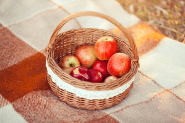 Kırmızı ve yeşil elmalarla dolu bir hasır sepet sıcak sonbahar güneşinde açık havada, ekose bir piknik battaniyesinin üzerinde oturur. Hasat, piknik ve sonbahar toplantıları için mükemmel bir kavram..
