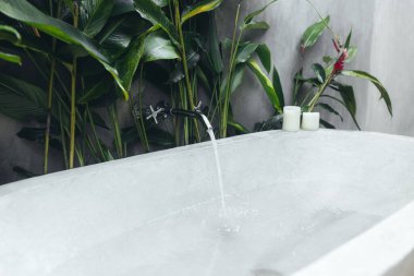 Çağdaş beton küvet tropikal bir spa ortamında suyla dolduruluyor. Çevresi yeşillik ve mumlarla çevrili, rahatlık, rahatlama ve lüks yaşam tarzı görselleri için mükemmel..