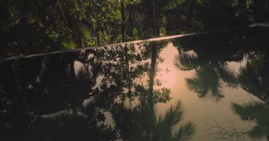 Havuzda palmiye ağaçlarının yansımasını gösteren yüksek kaliteli sinematik video, sonra verimli bir tropikal orman manzarasını ortaya çıkarıyor. Seyahat, tatil köyleri ve rahat bir yaşam tarzı tanıtımı için mükemmel..