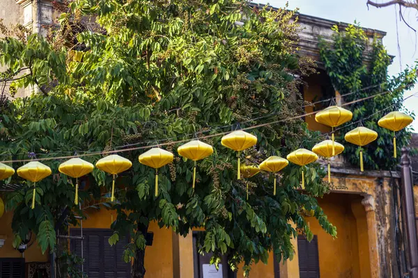 Süslü sarı fenerler Hoi An, Vietnam 'da bir caddeye asılmış, yemyeşil ağaçların ve sarı koloni duvarlarının önünde. Seyahat editörleri ve kültürel tanıtımlar için ideal.